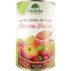 COMPOTE POMME/FRAISE 5/1